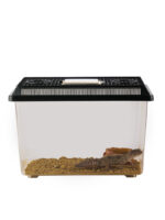 Exo Terra Faunárium – Obrázok 10