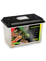 Exo Terra Faunárium – Obrázok 7