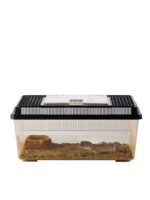 Exo Terra Faunárium – Obrázok 12