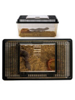 Exo Terra Faunárium – Obrázok 11