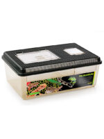 Exo Terra Faunárium – Obrázok 13