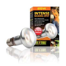 Exo Terra Intense Basking Spot