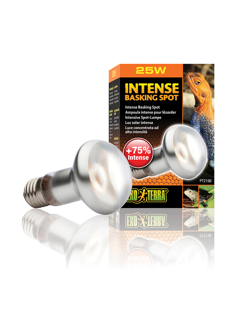 Exo-Terra-Intense-Basking-Spot-25W-orangefrog Exo Terra Intense Basking Spot