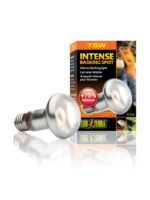 Exo Terra Intense Basking Spot