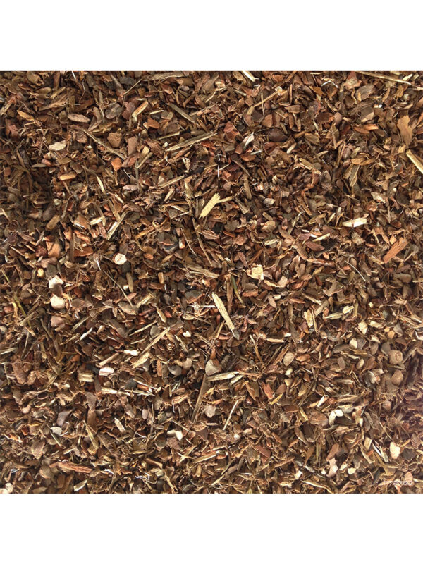 Exo Terra Jungle Earth