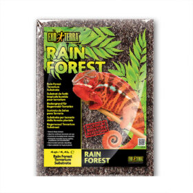 Exo Terra Rain Forest