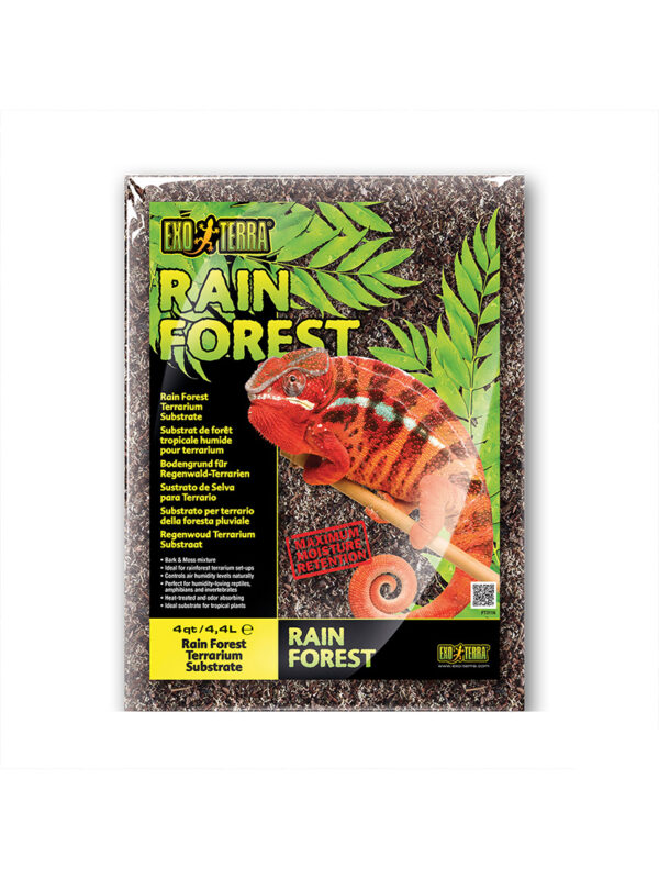 Exo Terra Rain Forest