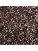 Exo Terra Rain Forest