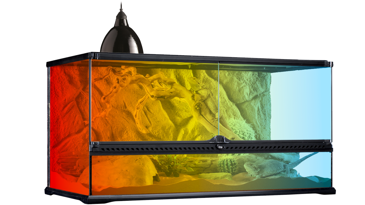 Exo Terra Monitoring Tools