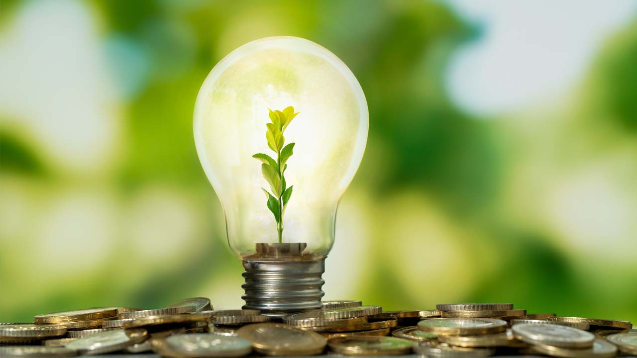 Exo Terra Plant Lamp