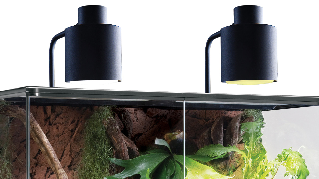 Exo Terra Dome Fixture
