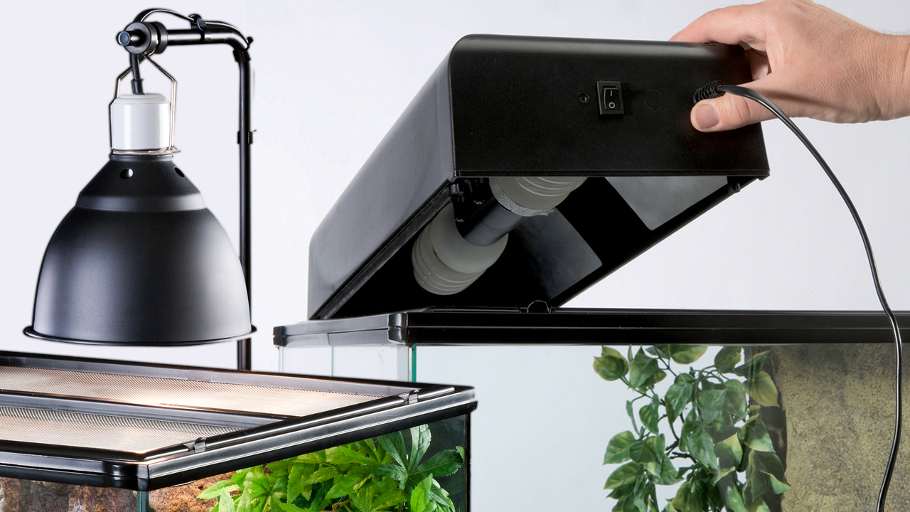 Exo Terra Dome Fixture