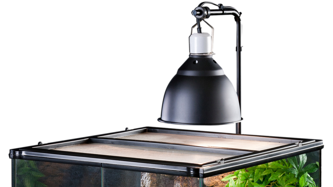 Exo Terra Dome Fixture