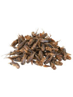 Trixie - Grilli essiccati - immagine 2