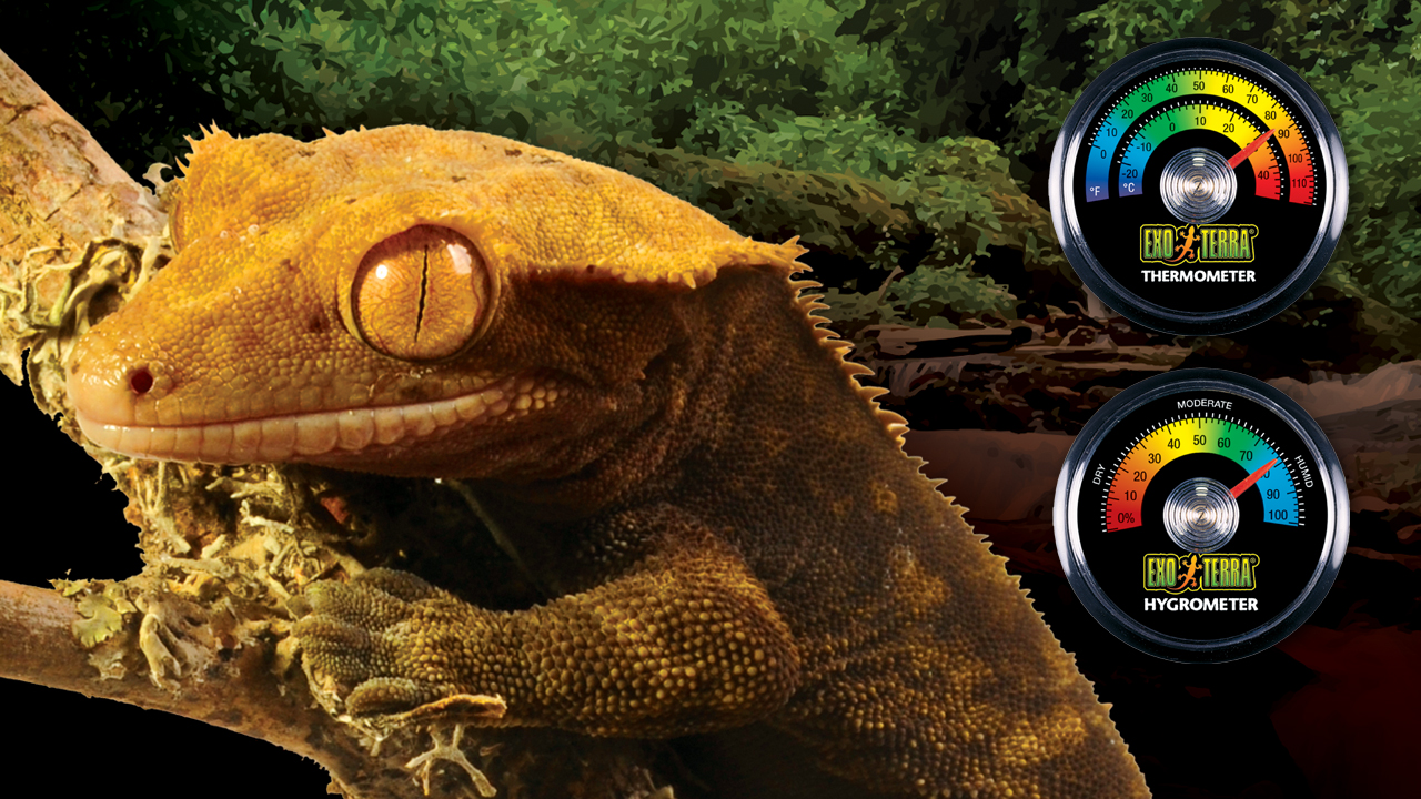 Exo Terra Monitoring Tools