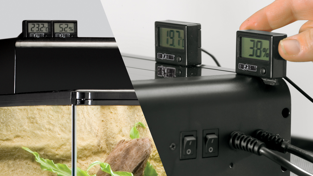 Exo Terra Monitoring Tools