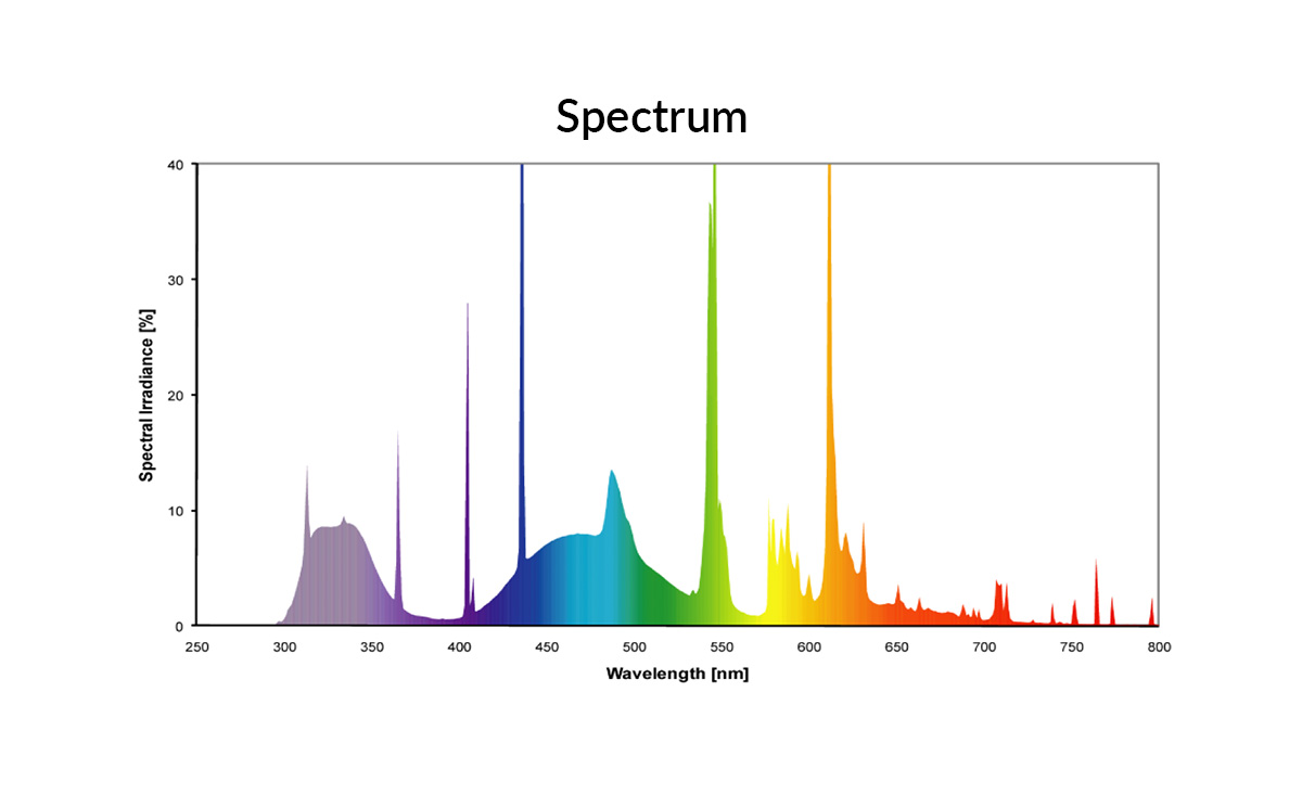 Arcadia Reptile D3 Forest 6% UV-B T5