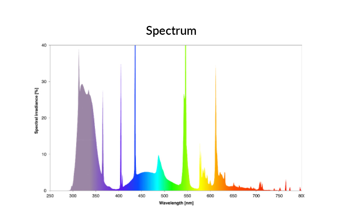 Arcadia Reptile D3+ Dragon 14% UV-B T5