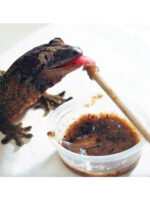 Arcadia Reptile EarthPro JellyPot FruityInsectGold