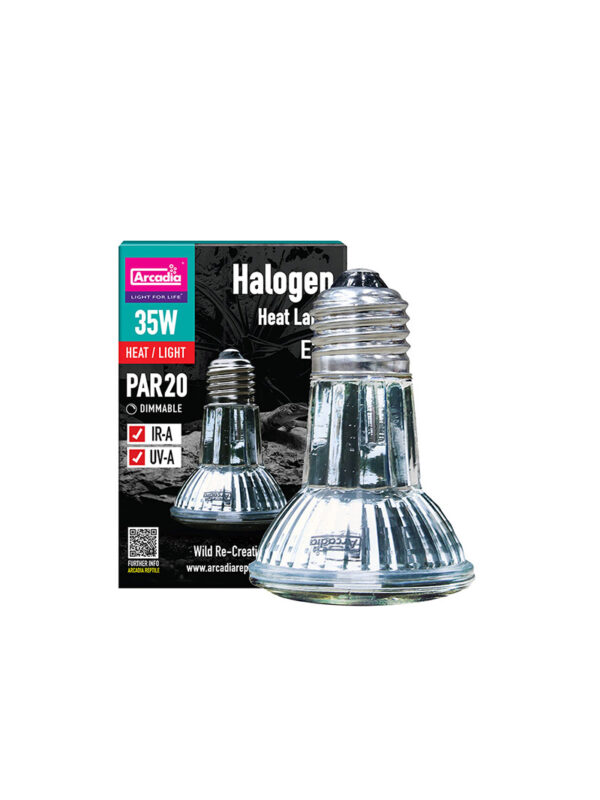 Arcadia Reptile Halogen Heat Lamp