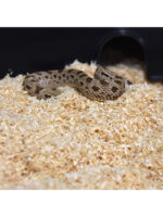 HabiStat Lignocel - podłoże dla węży