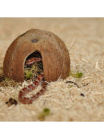 HabiStat Snake Bedding - podłoże dla węża