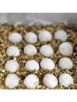 HabiStat Vermiculite Substrate