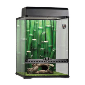 Exo Terra - Zestaw las bambusowy - terrarium dla gekona - duży