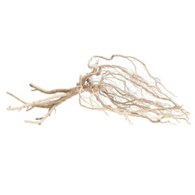 Korzeń do terrarium / akwarium Amazon Roots - 25-35 cm