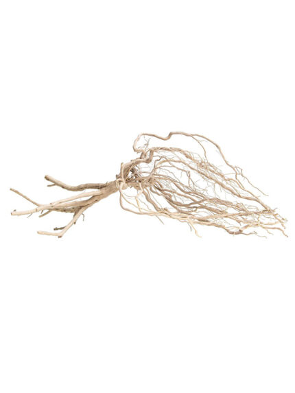 Korzeń do terrarium / akwarium Amazon Roots - 25-35 cm