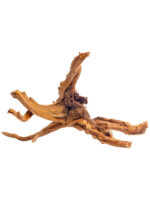 Korzeń do terrarium / akwarium Cradle Wood - 40-50 cm - 1 kg