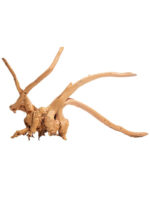 Korzeń do terrarium / akwarium Cradle Wood - 40-50 cm - 1 kg