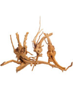 Korzeń do terrarium / akwarium Cradle Wood - 10-30 cm - 1 kg