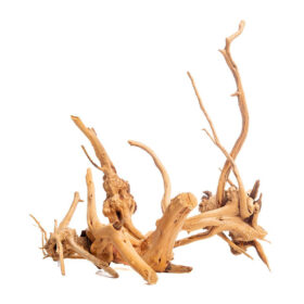 Korzeń do terrarium / akwarium Cradle Wood - 10-30 cm - 1 kg