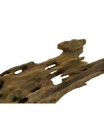 Korzeń do terrarium / akwarium – Dragon Wood - 1 kg