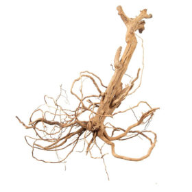 Korzeń do terrarium / akwarium – Moss Tree