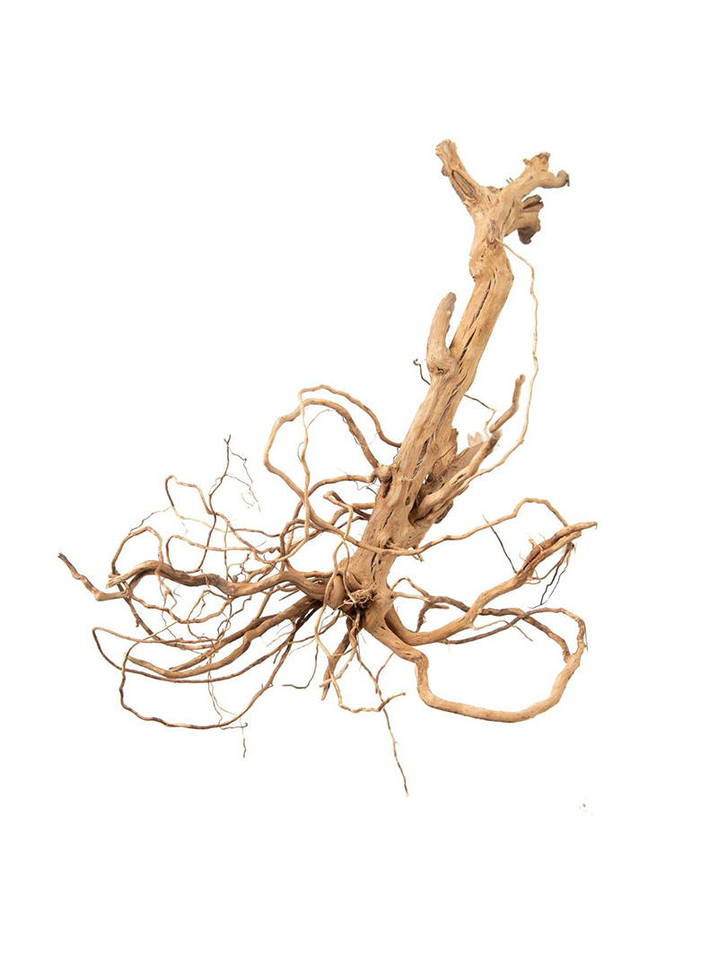 korzen-do-terrarium-akwarium-Moss-Tree-2-orangefrog Korzeń do terrarium / akwarium – Moss Tree