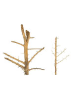 Korzeń do terrarium / akwarium – Tree Wood