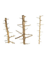 Korzeń do terrarium / akwarium – Tree Wood