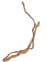 Korzeń do terrarium / akwarium – Fine Wood Wave - 1 kg