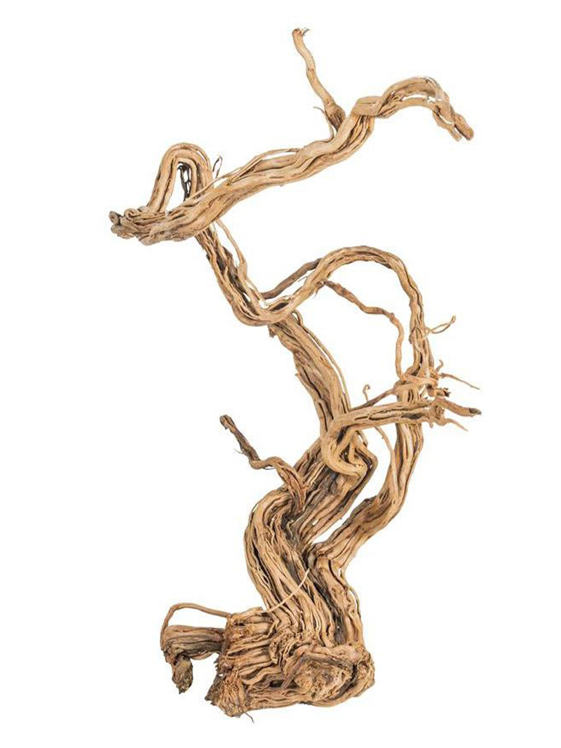 korzen-do-terrarium-akwarium-Wave-Wood-orangefrog Korzeń do terrarium / akwarium – Fine Wood Wave - 1 kg