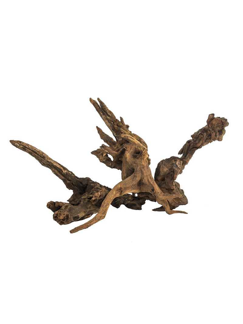 korzen-do-terrarium-akwarium-plant-wood-xl-orangefrog Korzeń do terrarium / akwarium – Plant Wood XL - 1 kg