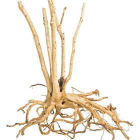 Korzeń do terrarium / akwarium – Fine Wood Stump