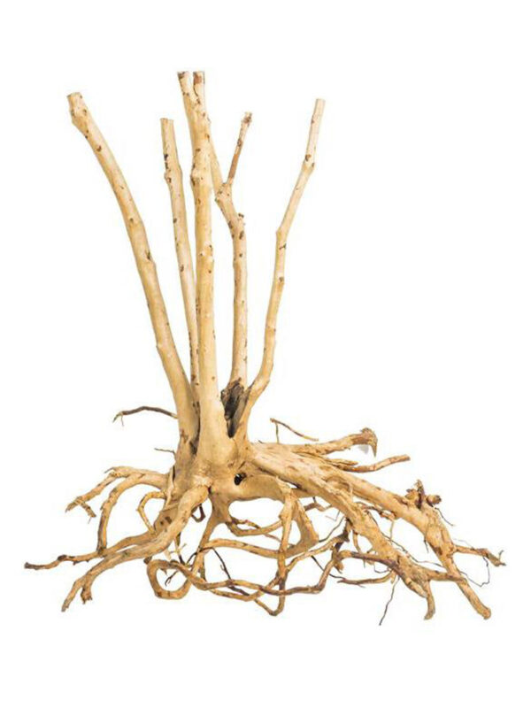 Korzeń do terrarium / akwarium – Fine Wood Stump