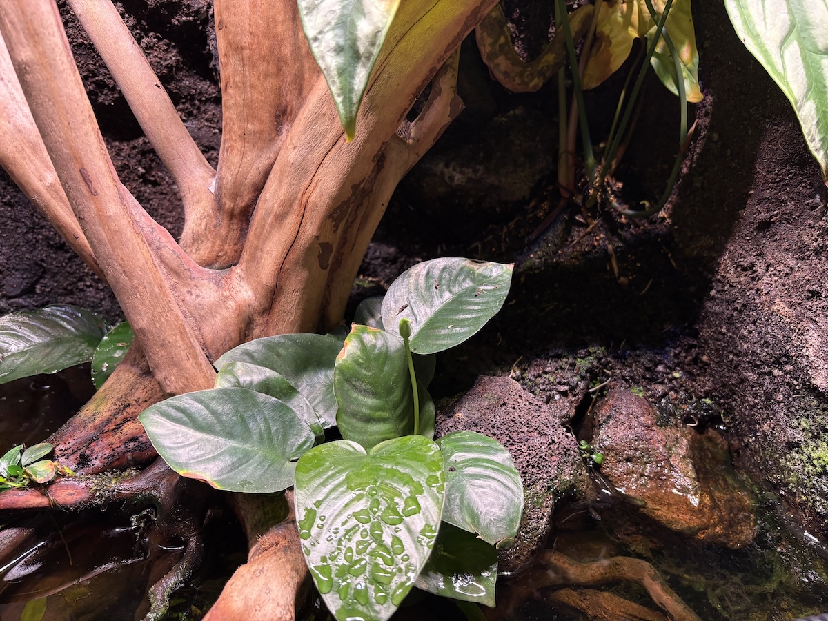 App-controlled LED lamp - day